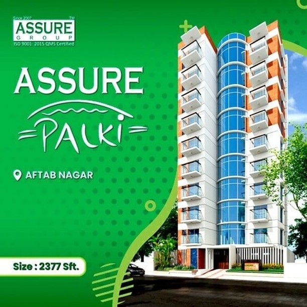 overview of Assure Palki